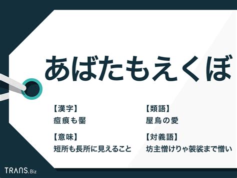 あばた も えくぼ 心理 学|ハロー効果とは？例やピグマリオン効果との違いと人事評価エ .